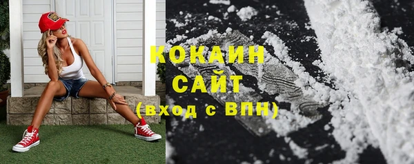 сатива Верея