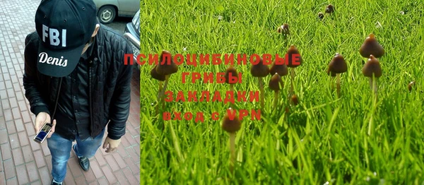 mdpv Бронницы